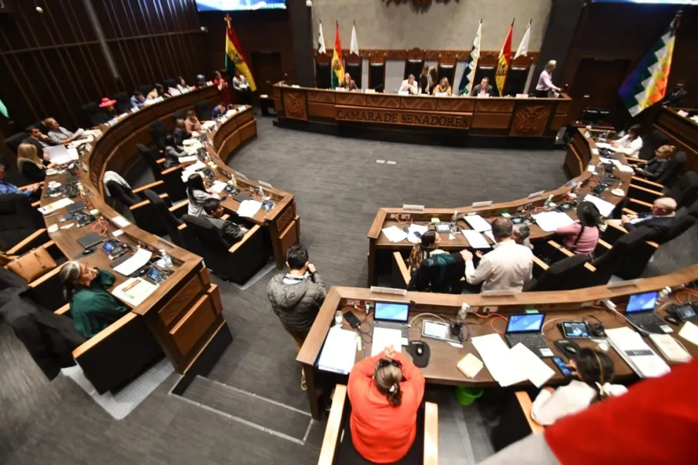 Sesión de la Cámara de Senadores. Foto: APG 