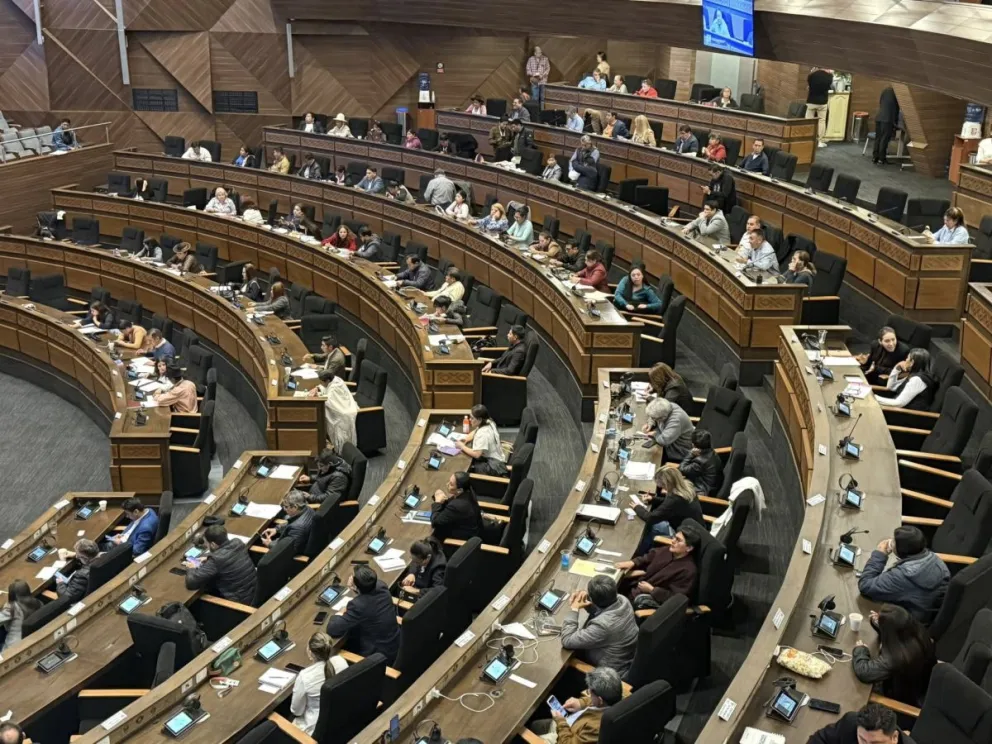 La sesión de la Asamblea este sábado. Foto: Cámara de Senadores