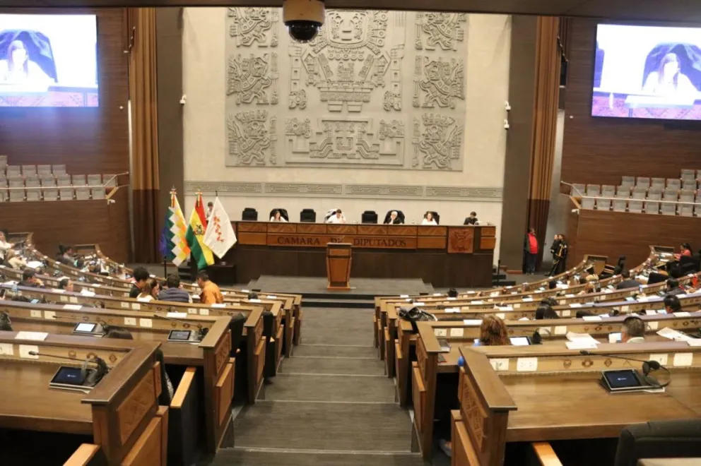 La sesión de la Cámara Baja este domingo. Foto: Cámara de Diputados