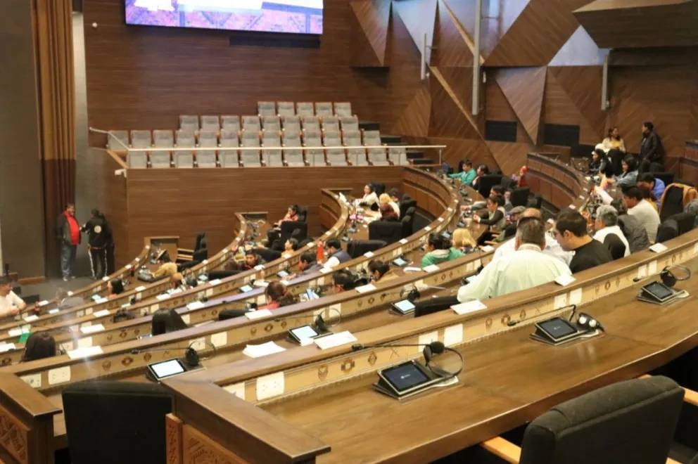 La sesión de la Cámara Baja este domingo. Foto: Cámara de Diputados
