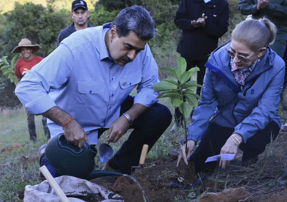 El presidente de Venezuela, Nicolás Maduro, sembrando una planta este lunes, en Caracas (Venezuela). Foto: EFE