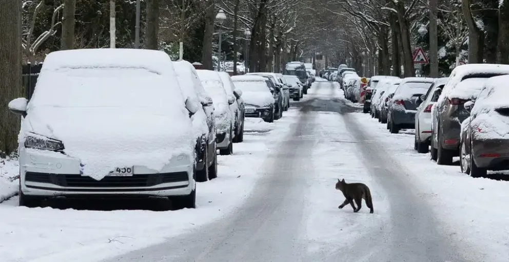 Calles de Berlín, en Alemania, cubiertas de nieve. Foto: DW / DPA / Picture Alliance