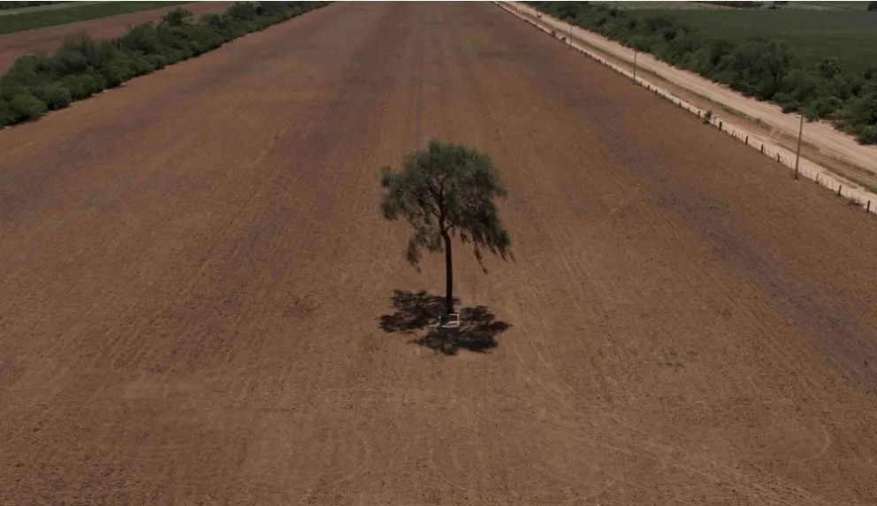 Deforestación en Santa Cruz, epicentro de la tala de bosque nativo para actividades productivas en Bolivia. Foto: cortesía Revista Nómadas