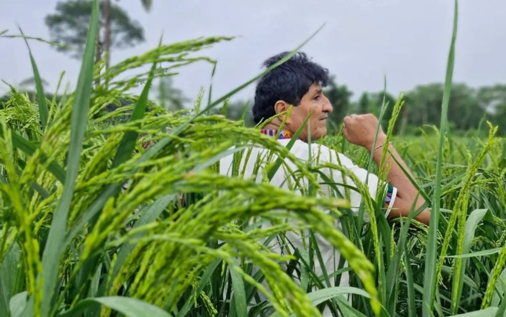 Morales contrajo dengue y, por ello, se ausentó de dos de sus programas dominicales, según reportaron medios afines al exmandatario. Foto: Evo Morales (Facebook)