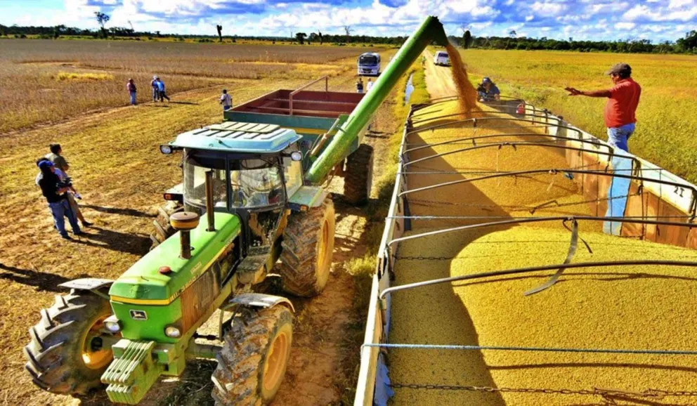 El senador prevé que habrá una "zafra récord" para este año, lo que puede coadyuvar a la economía nacional. Foto: @BrankoSCZ