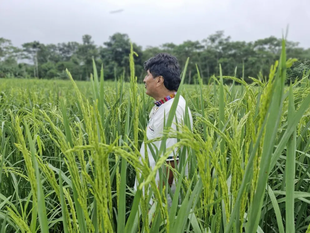 Evo Morales en su chaco, antes desaparecer de la palestra pública. Foto: RRSS del exmandatario 