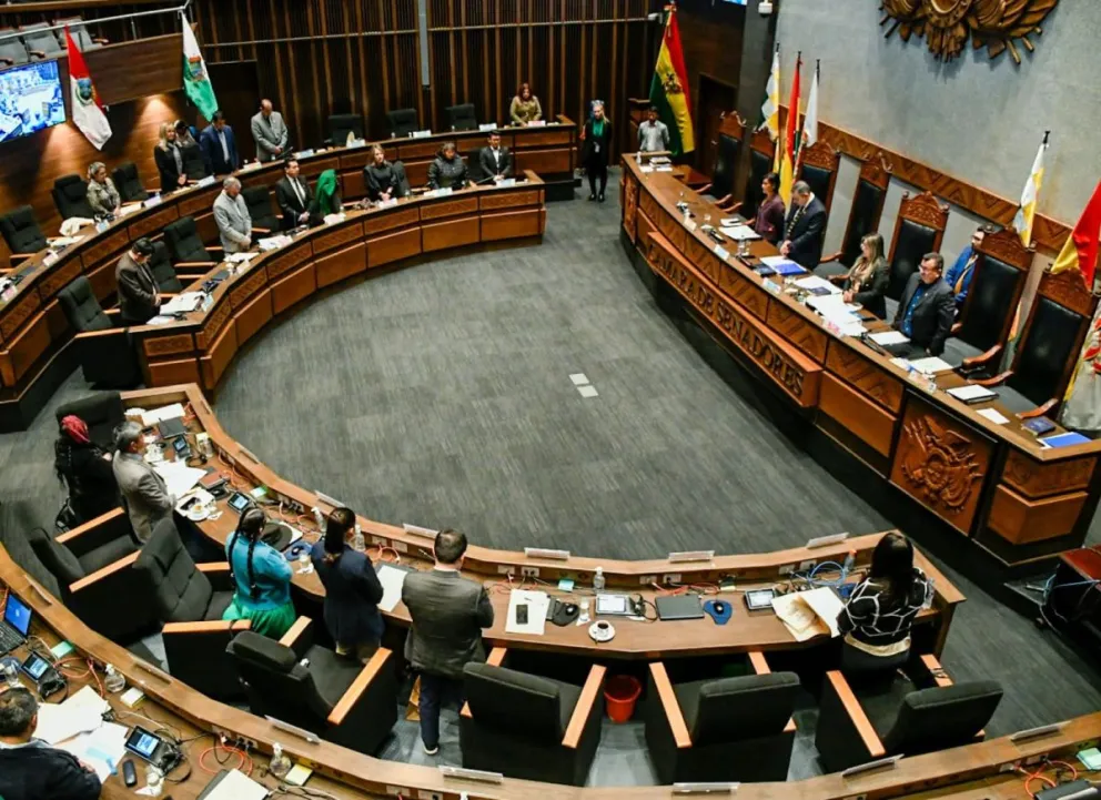 Una sesión anterior de la Cámara de Senadores. Foto: Senado