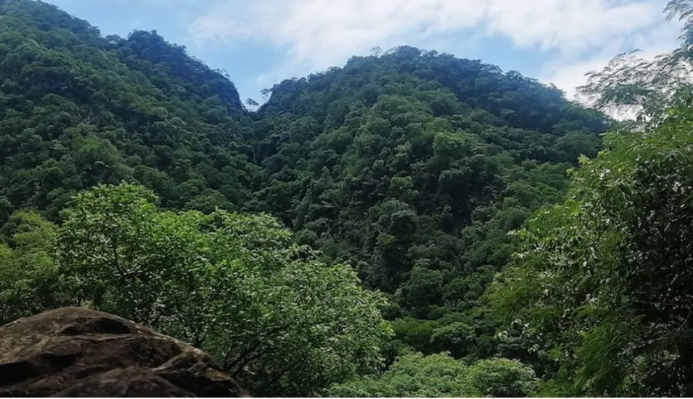 Aguaragüe se encuentra en el Chaco boliviano. El túnel que quiere construir el Gobierno de Paz atravesará el parque nacional. Foto: Miguel Surubí