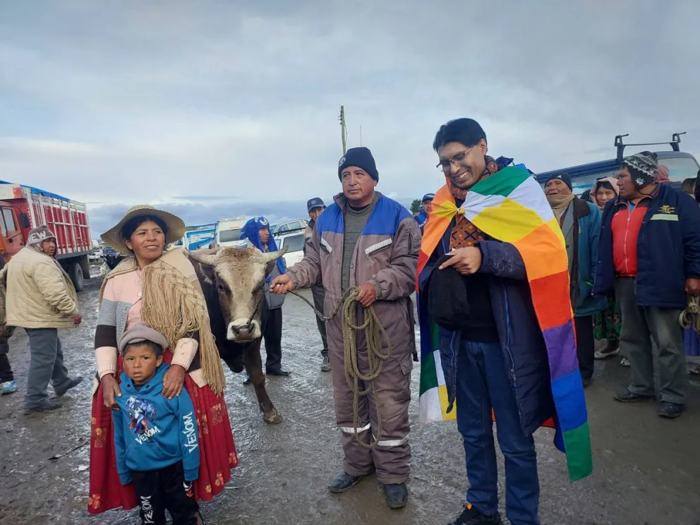 La venta del toro que hizo el senador Nilton Condori. Foto: Qhana Pacha