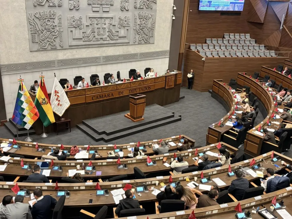 La Cámara de Diputados aplazó la elección de vocales de La Paz. Foto: Diputados
