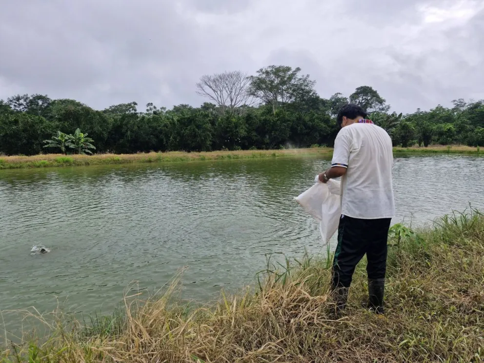 El expresidente Evo Morales en su chaco. Foto: RRSS del exmandatario 