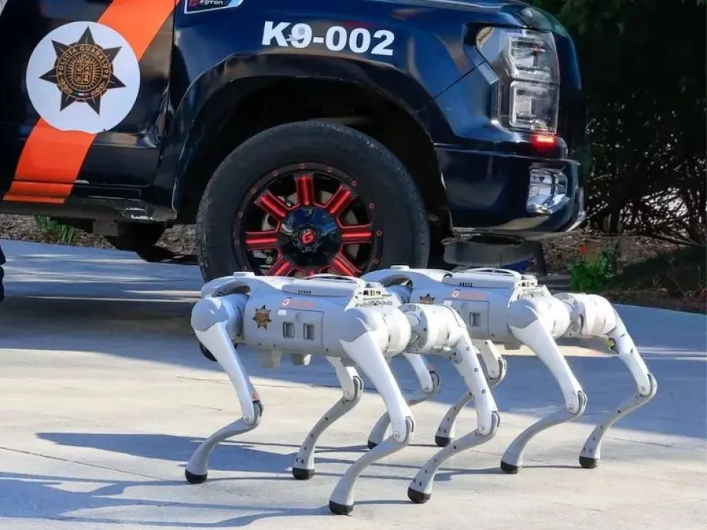 Los robots que fueron presentados por las autoridades de Monterrey. Foto: Dinero imagen

