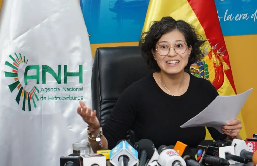 Margot Ayala, renunció al cargo de directora ejecutiva de la ANH. Foto: APG