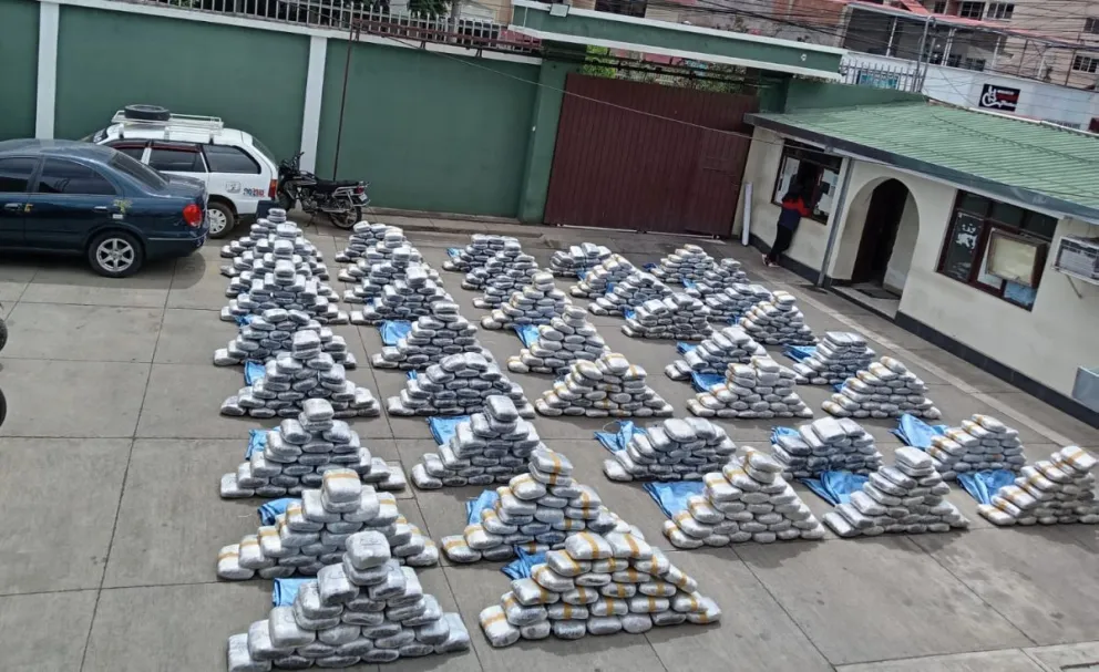 La marihuana incautada en Cochabamba.   