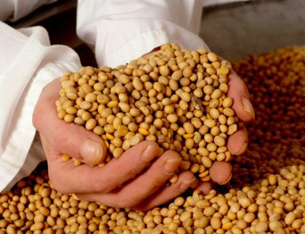 El Decreto Supremo 5547 que establece el arancel cero para las importaciones de soya, genera polémica entre la Anapo, la Caniob y entre los productores del Norte Integrado de Santa Cruz. Foto El Diario