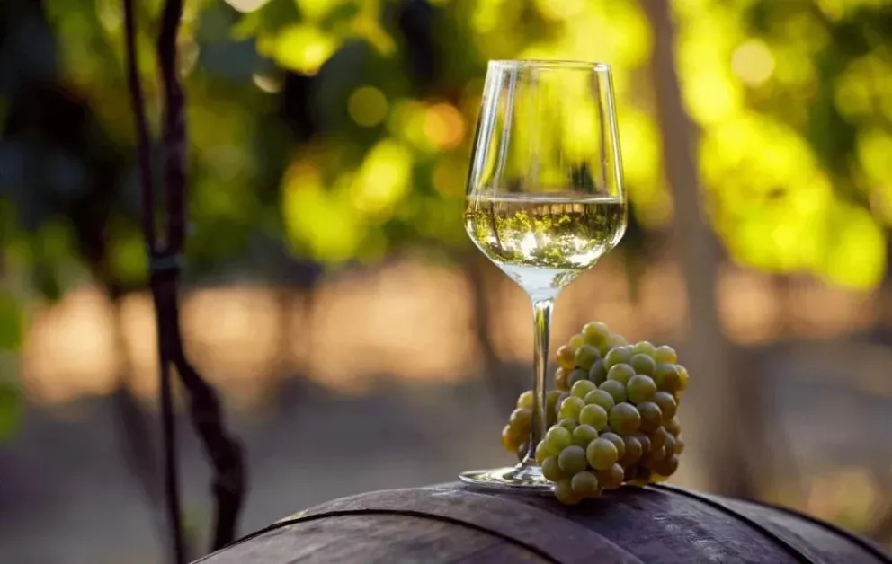 Bolivia reportó un crecimiento en la exportación de singani. Foto: RRSS