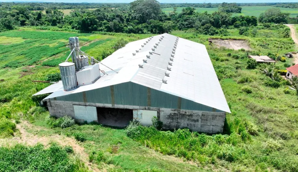 La empresa B AGRO fue creada con un capital de Bs 140 millones, en abril de 2022 y después de solo dos años de su creación quebró, según la fiscal  asignada al caso, Magaly Bustamante. Foto: Erbol