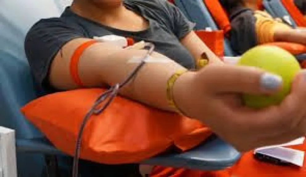 La campaña se dará inicio este sábado. Foto: ABI