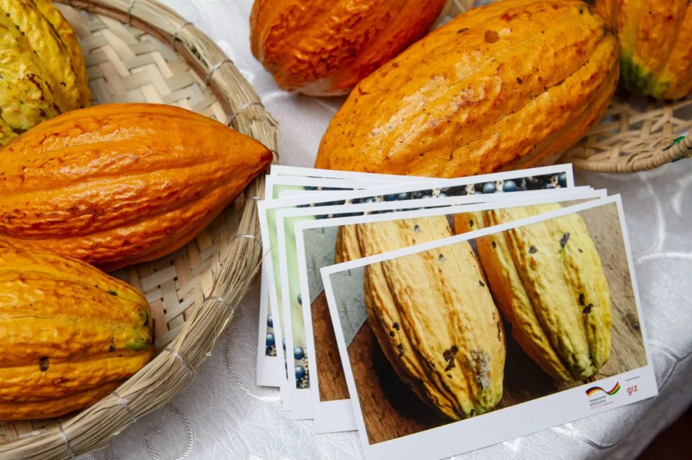 La actividad, que se desarrollará el 13 y 14 de marzo, contará con participantes de ese municipio beniano, además de Ixiamas y San Buenaventura (La Paz). Foto: Viceministerio de Gastronomía