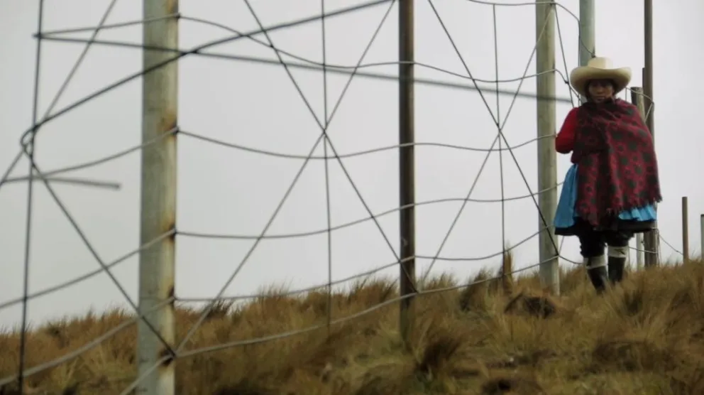 Las proyecciones comienzan este viernes 6 de marzo. Foto: Captura de video