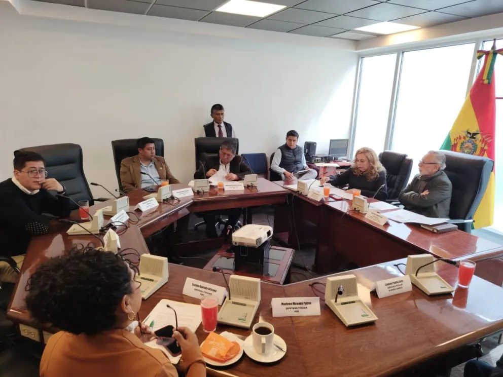 La Comisión sesionó la jornada de este miércoles. Foto: Diputados Bolivia