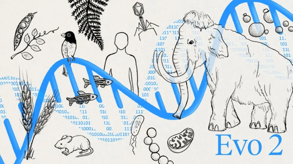 Esta ilustración muestra cómo Evo 2 aprende el lenguaje genético compartido por todos los seres vivos, desde los mamuts lanudos hasta las bacterias. Crédito: Arc Institute
