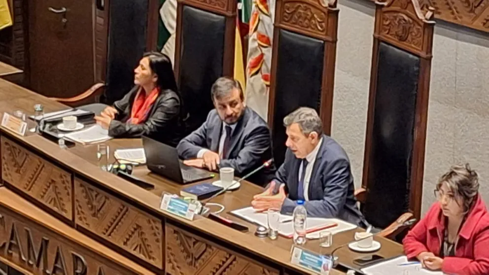 El ministro de Hidrocarburos en la sesión de este jueves. Foto: Visión 360 