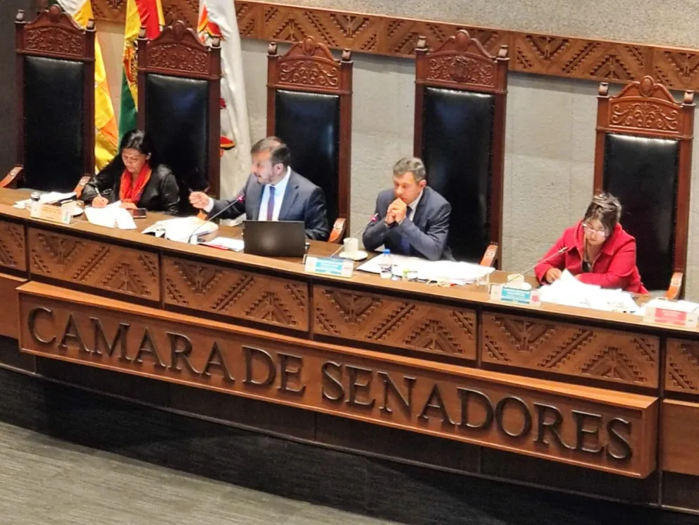 El ministro de Hidrocarburos, Mauricio Medinaceli, compareció ante la Cámara de Senadores. Foto: Paulo Lizárraga / Visión 360
