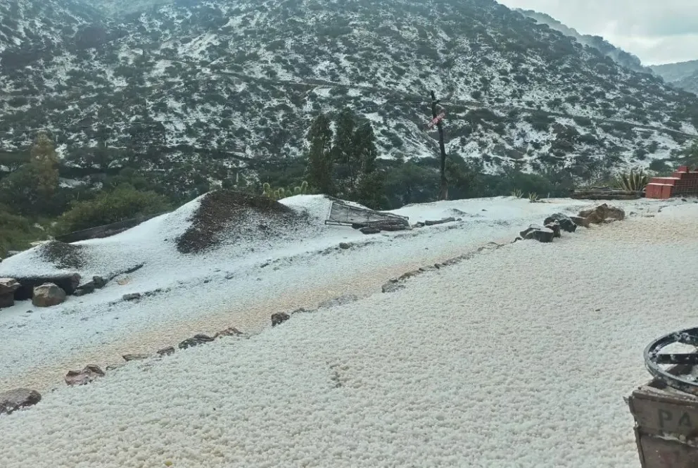 Una graniza que duró varios minutos, en el municipio de Cotagaita, del departamento de Potosí, provocó daños a los cultivos de hortalizas, frutas y en las viviendas precarias. Foto: Nueva Presencia 