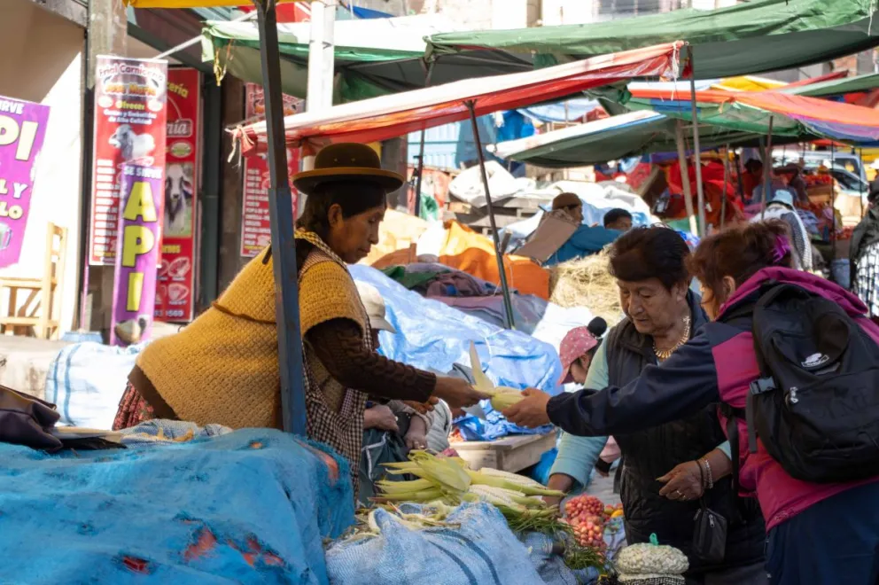 El municipio de La Paz cuenta con normativas pioneras en Bolivia en torno a la seguridad alimentaria. Foto: CMSA-LPZ