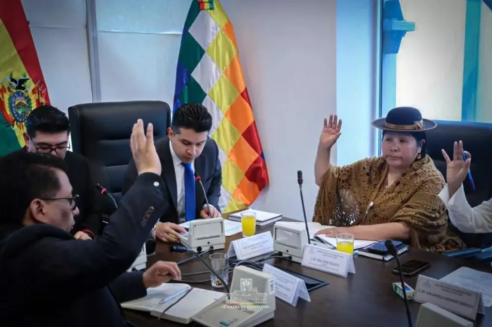 La Comisión de Justicia Plural. Foto: Diputados Bolivia