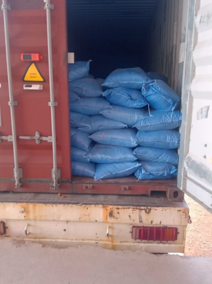 Parte de las sustancias controladas detectadas. Foto: Aduana