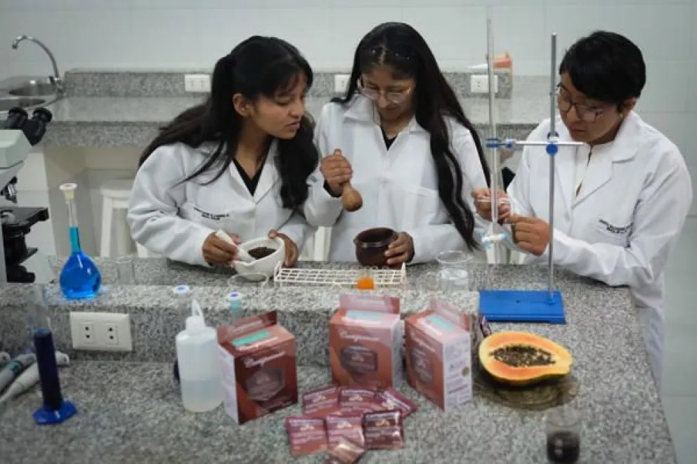 Un grupo de estudiantes de la Universidad Privada Franz Tamayo (Unifranz) desarrolló un anticonceptivo masculino reversible a partir de semillas de papaya. Foto: EFE