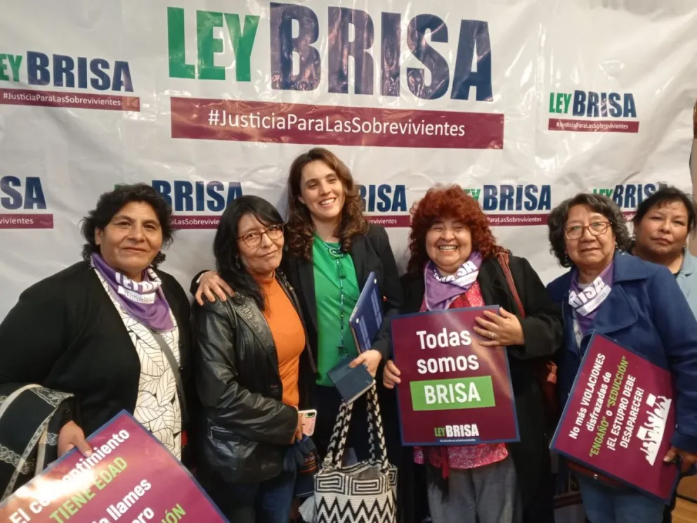 Representantes de las entidades que impulsan la ley junto a Brisa de Angulo (al centro, de verde).

