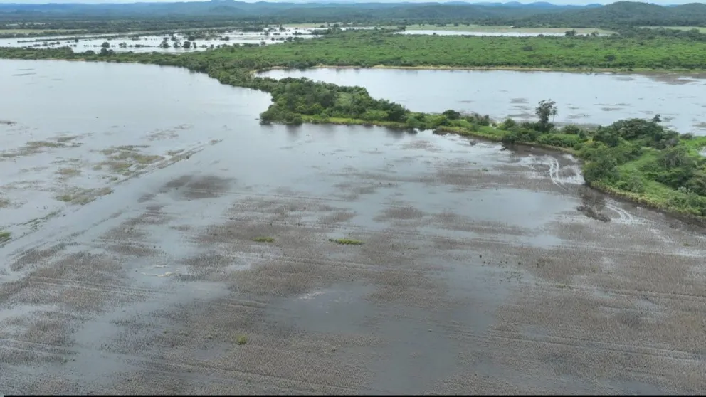 Una zona inundada en San Julián, Santa Cruz. Foto: Bolivia Prensa