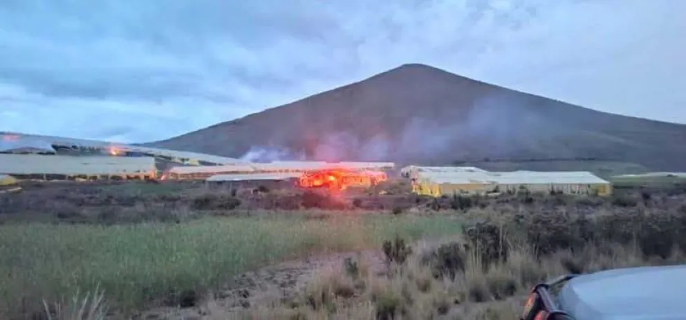 La Felcn encontró 12 viveros gigantes de hasta 50x20 metros, 15 viveros medianos y 9 viveros pequeños. Algunas estructuras eran más grandes que una cancha de futsal, lo que muestra la magnitud de la operación ilegal. Foto: Felcn