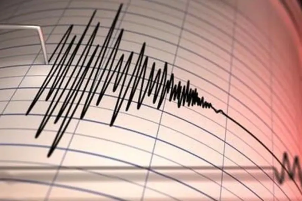 Una imagen referencial de las líneas oscilatorias de un sismo detector. Foto: Referencial