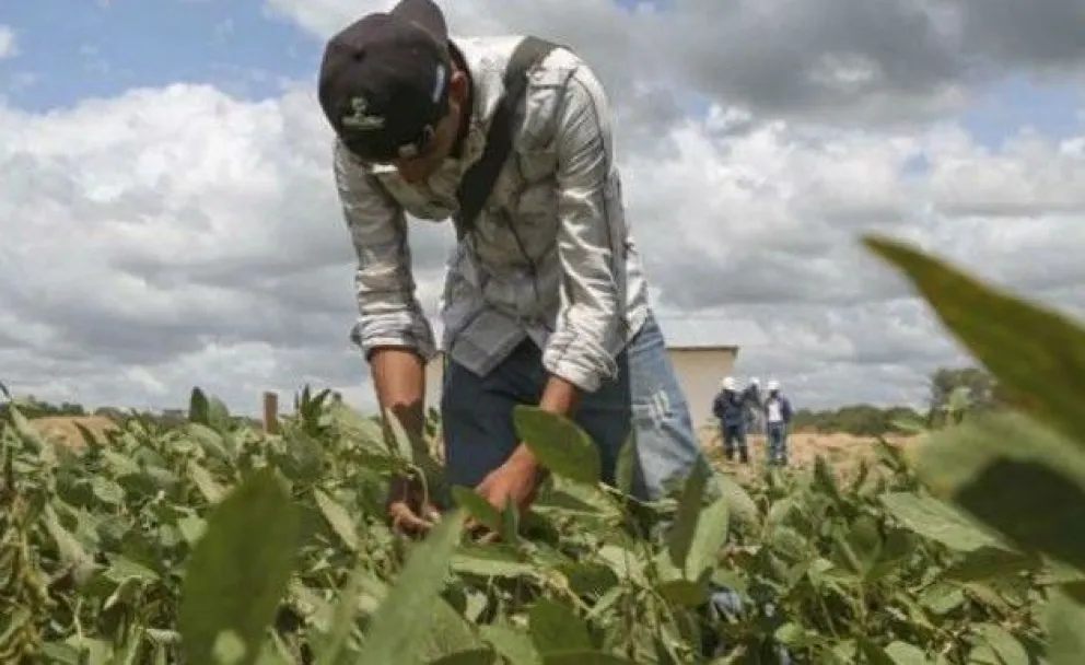 Una imagen referencial. Foto: Noti Rural Bolivia Internet
