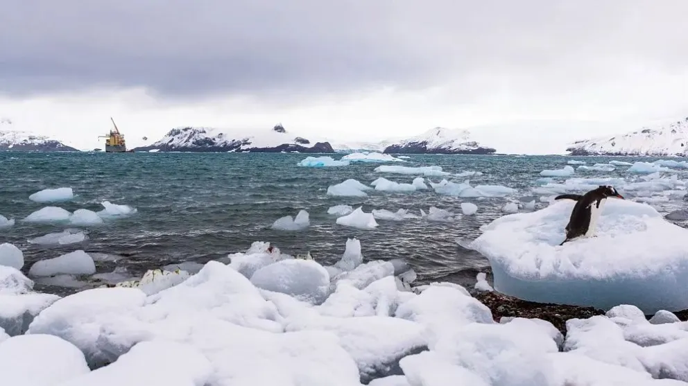 Fotografía: MaRabelo / iStock