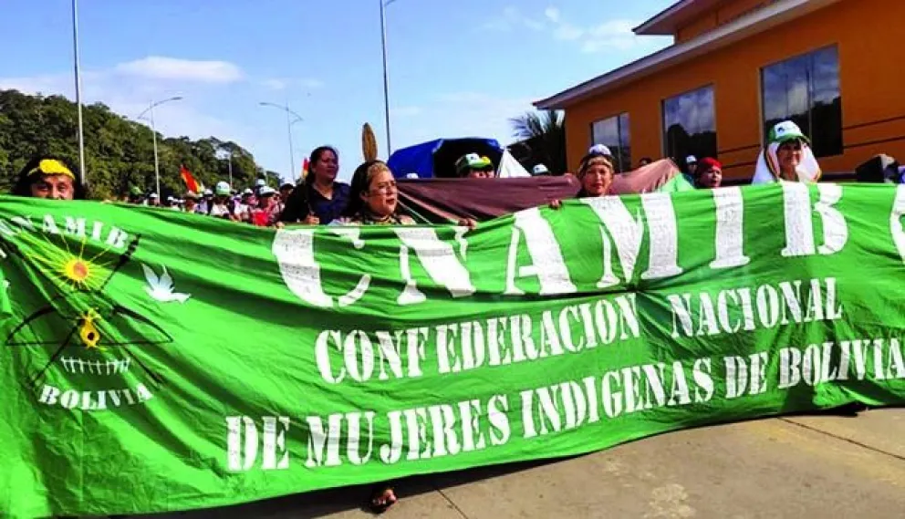 La promulgación de la Ley 157, puso en alerta a los pueblos originarios, al ser identificada como una norma que abre camino a la liberalización del mercado de tierras, amenazando los derechos territoriales colectivos, advierte la  Cnamib. Foto Opinión