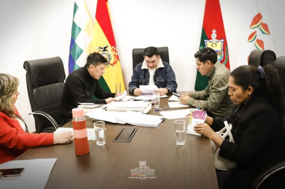 El Comité de Ministerio Público, en sesión. Foto: Diputados Bolivia