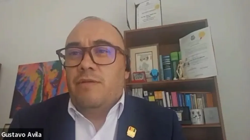 El presidente del TSE, Gustavo Ávila, durante una videollamada. Foto: Captura de video