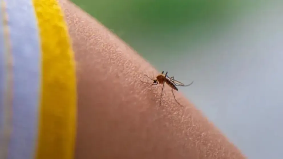En Santa Cruz, tres personas fallecieron víctimas de la fiebre amarilla. Foto Red Uno