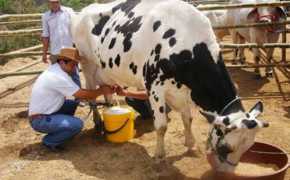 Esta medida se dio en una coyuntura de reclamos de los productores lecheros, quienes expresaban su rechazo a la regulación debido a que no contemplaba los costos reales de producción, lo que generaba una distorsión. Foto: El País
