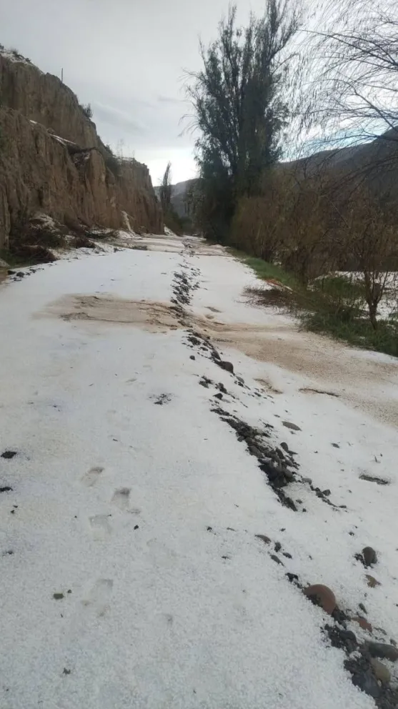 La intensa granizada que cayó en Huajchilla, que se encuentra camino a Río Abajo, en La Paz, provocó daños a los cultivos. Foto: Visión 360