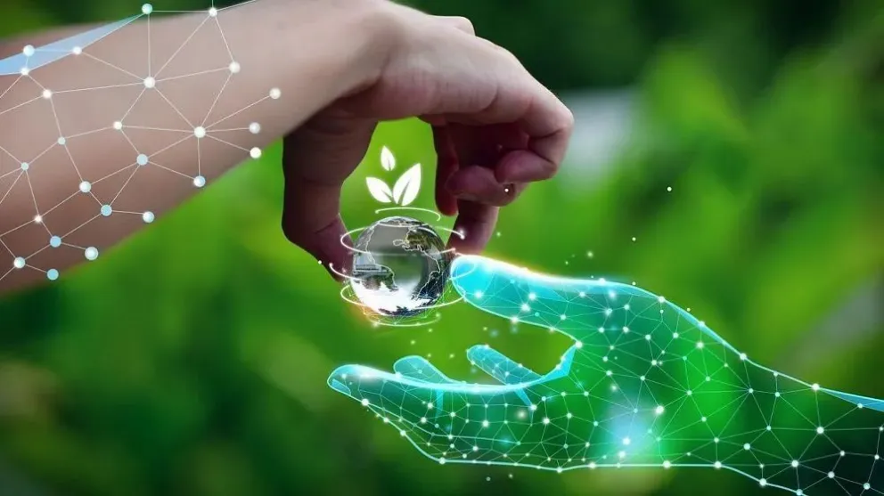 Foto: Kalawin / iStock