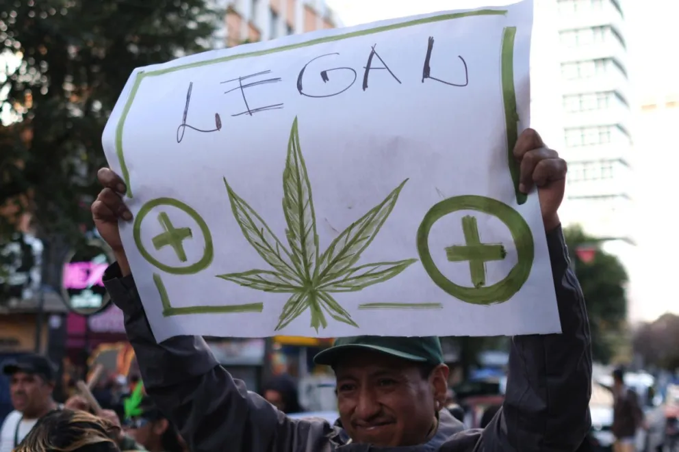 Una persona sostiene un cartel durante una manifestación por la despenalización de la marihuana este sábado, en La Paz (Bolivia). Foto: EFE