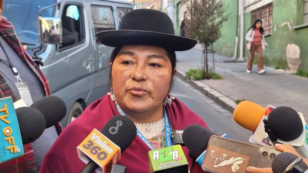 Virginia Ugarte, presidenta de la Asamblea Permanente de Derechos Humanos de El Alto. Foto: Visión 360 