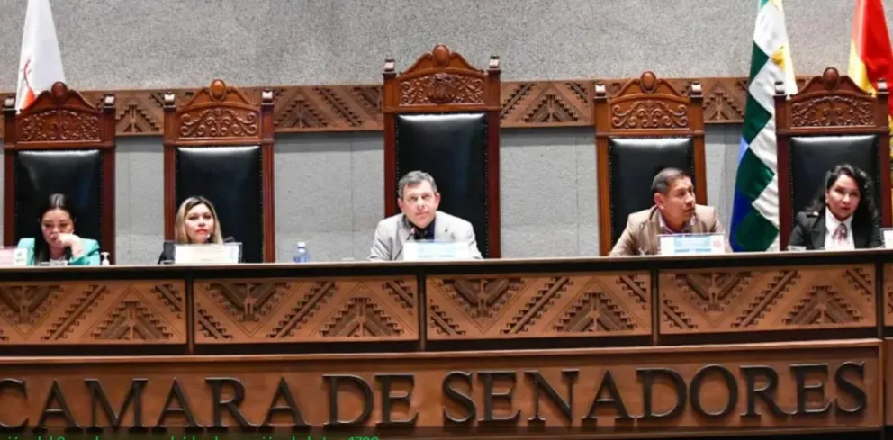 La sesión del Senado que aprobó la abrogación de la Ley 1720. Foto: ALP