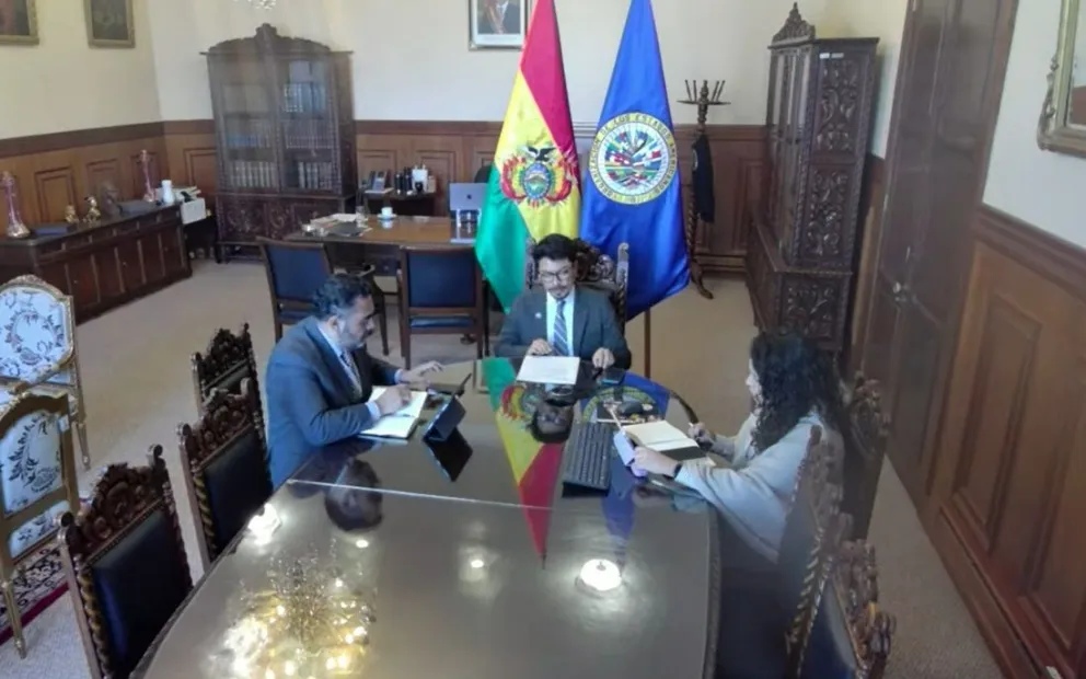 En canciller Aramayo durante su participación. Foto: Captura de video 